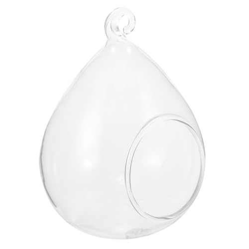 iplusmile Hängendes Terrarium Dekorativer Pflanzenbehälter Für Luftpflanzen Design Für Wohn Und Gartenbereich von iplusmile