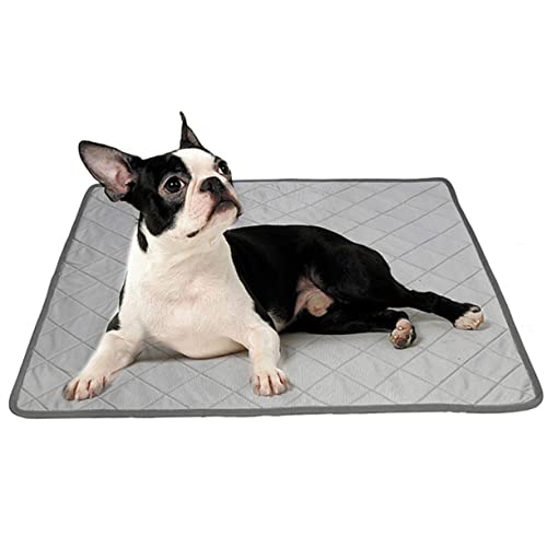 iplusmile Haustier -Urinpolster PIPI-Pads für Hunde Haustier-Pads Unterlage Kühlmatten für Hunde Bettwäsche Welpe kühlpads kühlkissen Dog mat Haustier kühle Matte Schlafkissen für Haustiere iplusmile Haustier -Urinpolster PIPI-Pads für Hunde Haustier-Pads Unterlage Kühlmatten für Hunde Bettwäsche Welpe kühlpads kühlkissen Dog mat Haustier kühle Matte Schlafkissen für Haustiere von iplusmile