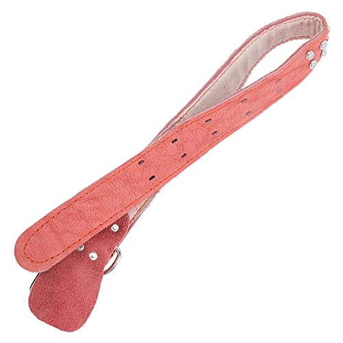 iplusmile Haustierhalsband Haustierhalsdekor Dekoratives Hundehalsband Modisches Hundehalsband Großes Halsband Weiches Plüsch Mini Welpenhalsband Haustier Bandana von iplusmile