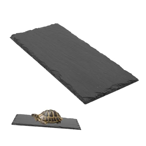 iplusmile Matte Reptilienschildkrötentablett Schildkrötenplatte Für Schildkrötenfelsen Schildkrötenschale Kleines Schildkrötenfuttersubstrat Schildkrötenfütterung Eidechsensteinfutter von iplusmile