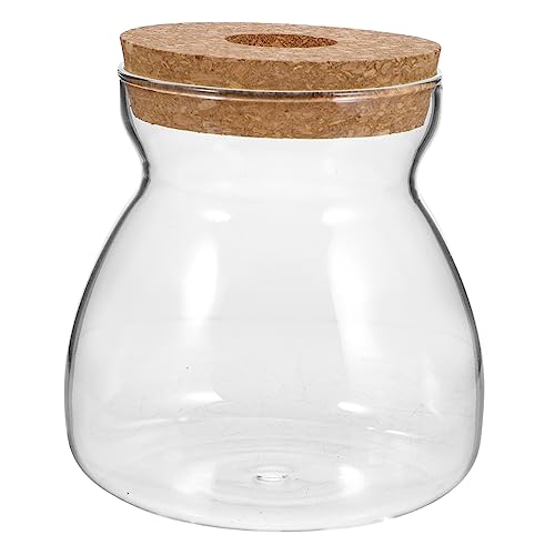 iplusmile Micro Landschaft Terrarium Glasbehälter Mittelgroß mit Lochdeckel Hydroponische Pflanzenvase für Sukkulenten und Zimmerpflanzen Transparentes Ökosystem Gefäß für Dekoration von iplusmile