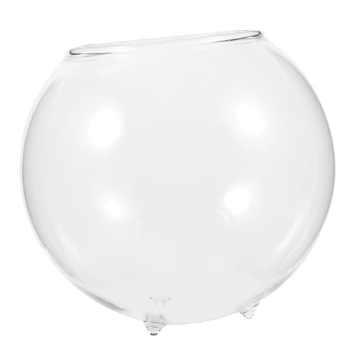iplusmile Micro-landschaftsvase Obstschale Luft Vasen Tank Desktop-fischschüssel Fischzubehör Klare Aquariumschale Tischfischschale Aquariumdekorationen Aquariumheizung Fischfutter Glas von iplusmile