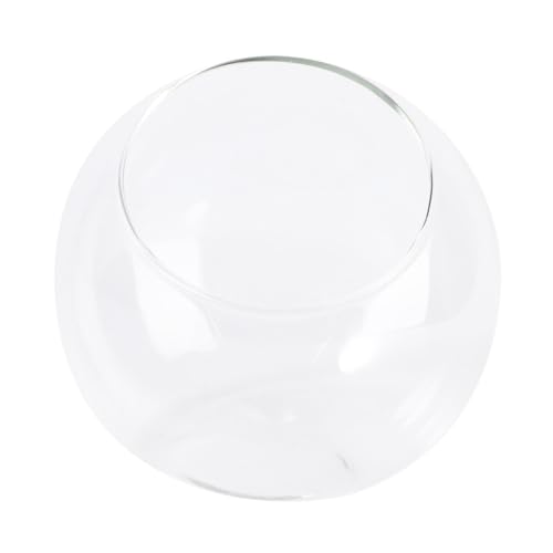 iplusmile Mini Landschaftsglasflasche Ø Einfacher Micro Terrarium Behälter DIY Ökologisches Flaschenglas für Tischdeko Pflanzen Sukkulenten Kompakt Modernes von iplusmile