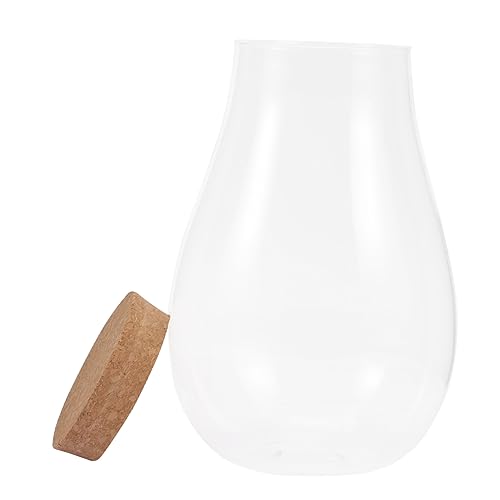 iplusmile Moos-Öko-Flasche Terrarienglas groß ökologische Mikrolandschaftsflasche Terrarienflasche Landschaft Flasche Mini zimmerpflanzen Terrarium mit Deckel Glastank Moosglas hölzern von iplusmile