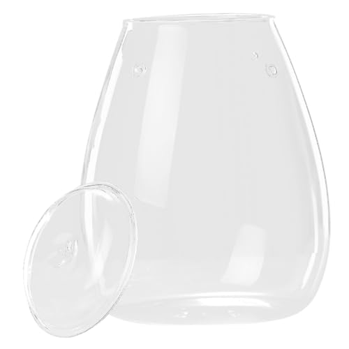 iplusmile Ökologische Flasche Glasabdeckung Pflanzen Terrarienschalen Indoor Garten Pflanzgefäß Flaschen Terrarien Geometrisches Pflanzen Terrarienglas Sukkulenten Terrarienglas von iplusmile