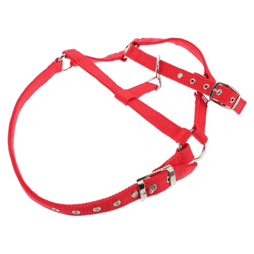 iplusmile Reitreiter -heckholder Und Seil Für Die Verstellbar Und Gepolstert Für Den Komfort Aus Dauerhaftem Nylon Mit Abtrünniger Merkmal von iplusmile