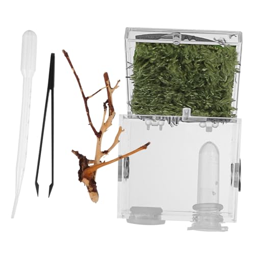 iplusmile Springspinne Zuchtbox Transparente Reptilienbehälter Für Haustiere Teiliges Terrarium Für Aufzucht Von Florida Springspinnen Pipette von iplusmile