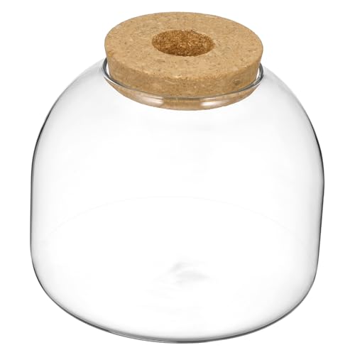 iplusmile Terrarium Container Kleine Hydroponische Pflanzen Vase Transparentes Aquarium für Zimmerdekoration Wohn und Arbeitsbereich Geeignet von iplusmile