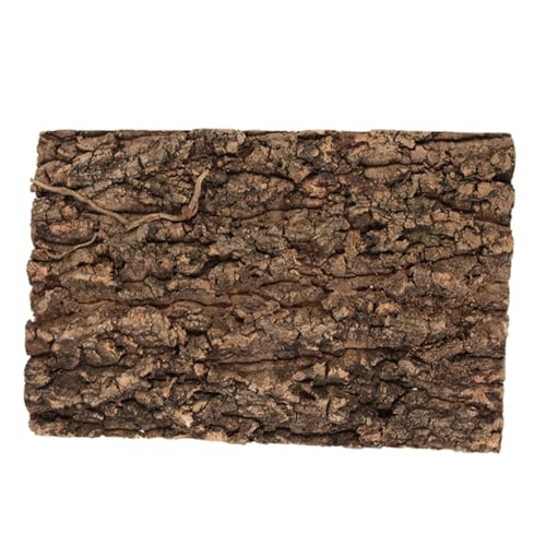 iplusmile Terrariumrinde Fischtank Dekoration Aquarium Dekoration Schlangen Terrarium Reptilien Hintergrundbrett Schlangentank Zubehör Baumrinde Korkrinde Reptilien iplusmile Terrariumrinde Fischtank Dekoration Aquarium Dekoration Schlangen Terrarium Reptilien Hintergrundbrett Schlangentank Zubehör Baumrinde Korkrinde Reptilien von iplusmile