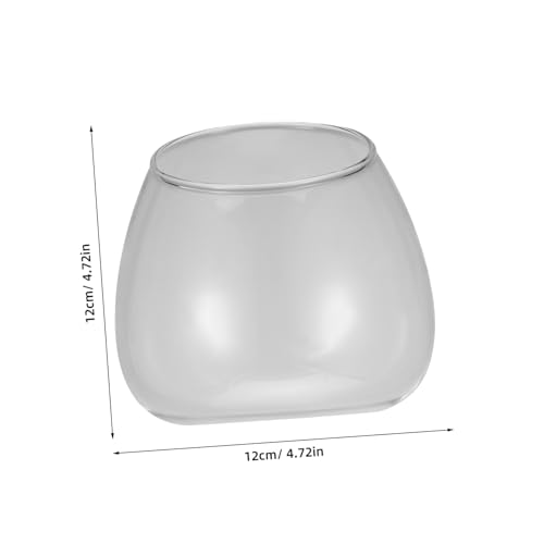iplusmile Transparente Succulent Pflanzvase aus Dickem Mikrolandschaftliches Terrarium für Zuhause und Büro Langlebiger Micro Ökologie Flaschengarten Kreative Dekoration für Zimmerpflanzen von iplusmile