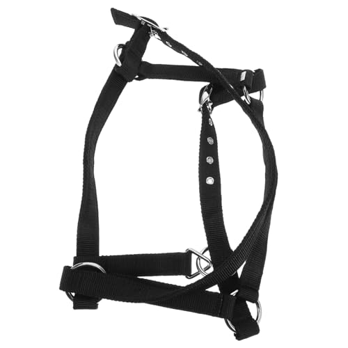 iplusmile Verstellbares Breakaway Horse Neckter Und Seil Für Kinder -reitausbildung, Die Für Das Komfort -nylonmaterial Für Langfristig Dauerhaften Gebrauch Gepolstert Sind von iplusmile