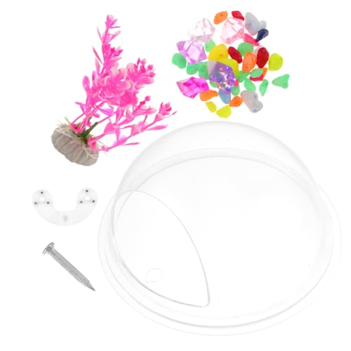 iplusmile Wall Mounted Acrylic Fish Bowl Transparente Wanddekoration für Aquarien Durchmesser für Fische und Pflanzen Platzsparend und Installieren Zufällige Farbe iplusmile Wall Mounted Acrylic Fish Bowl Transparente Wanddekoration für Aquarien Durchmesser für Fische und Pflanzen Platzsparend und Installieren Zufällige Farbe von iplusmile