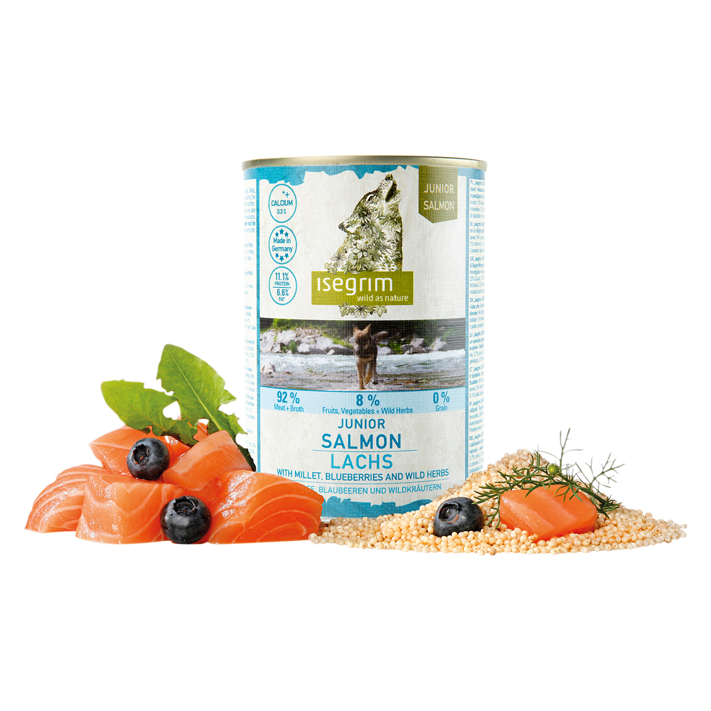 isegrim® Junior RIVER Lachs mit Hirse, Blaubeeren & Wildkräutern, Anzahl: 12 x 800 g, 800 g, Hundefutter nass von isegrim®