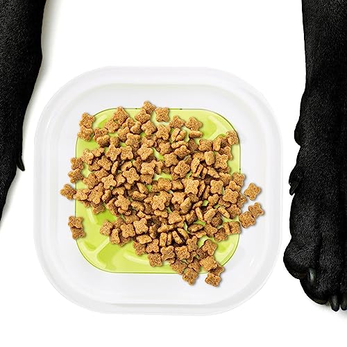 Verlangsamen Sie das Fressen von Hundenäpfen,Slow-Eating-Gerichte | Welpen-Futternapf, Rutschfester Puzzle-Napf, lebensmittelechtes PP, verlangsamt das Fressen von Haustieren, verhindert Itrimaka von itrimaka