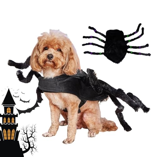 itrimaka Haustier Cosplay Kostü Spinne | Verstellbares Spinnen-Cosplay mit gruseligen pelzigen Beinen | Hunde- und Katzenbekleidung für Mottoparty, Halloween-, Foto-Requisiten, Festival-Parade itrimaka Haustier Cosplay Kostü Spinne | Verstellbares Spinnen-Cosplay mit gruseligen pelzigen Beinen | Hunde- und Katzenbekleidung für Mottoparty, Halloween-, Foto-Requisiten, Festival-Parade von itrimaka