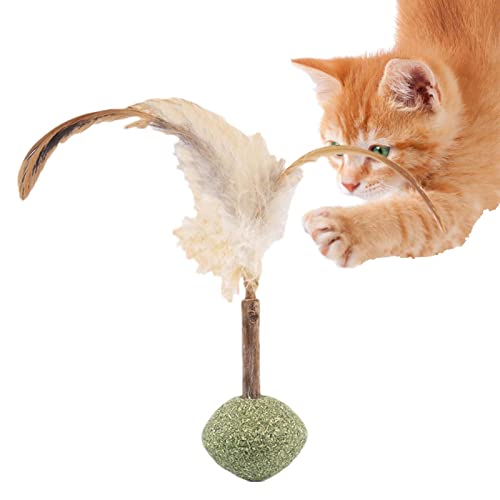 itrimaka Kauspielzeug für Katzen | Niedliches Silvervine-Spielzeug für Katzen zum Kauen - Interaktives Katzenspielzeug für Hauskatzen, Silvervine-Katzenspielzeug itrimaka Kauspielzeug für Katzen | Niedliches Silvervine-Spielzeug für Katzen zum Kauen - Interaktives Katzenspielzeug für Hauskatzen, Silvervine-Katzenspielzeug von itrimaka