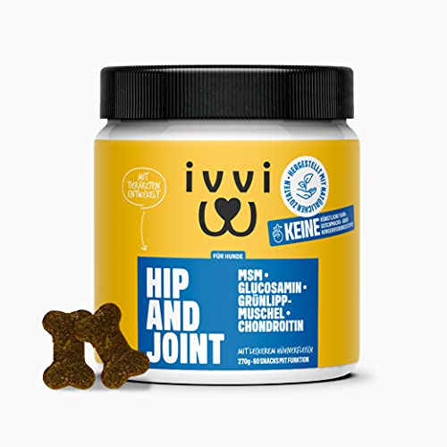 ivvi Hip & Joint - hochkonzentrierte Gelenktabletten für Hunde als Leckerli mit Grünlippmuschel Hund, Glucosamin, Chondroitin & MSM - 60 leckere Snacks (270g) mit Huhn von ivvi