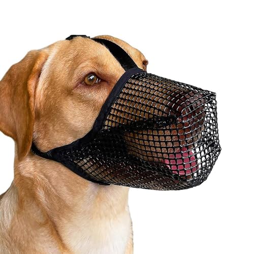 iwontalersy Maulkorb für Hunde,Maulkorb für Große Hunde,Atmungsaktive Haustiermaske,Einstellbar,Prevent Kauen/Fressen/Beißen iwontalersy Maulkorb für Hunde,Maulkorb für Große Hunde,Atmungsaktive Haustiermaske,Einstellbar,Prevent Kauen/Fressen/Beißen von iwontalersy