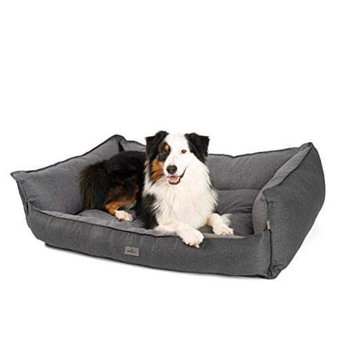 JAMAXX Premium Hundebett - Orthopädisch Memory Visco Füllung, Extra-Hohe Ränder, Waschbar, Nässe-Schutz, Hochwertiger Stoff mit viel Eleganz, Hundesofa PDB2018 (L) 120x90 anthrazit von jamaxx-pets