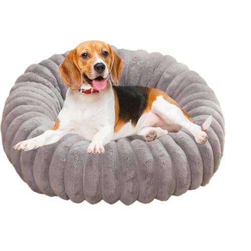 jamgeery Beruhigendes Hundebett für kleine Hunde, Donut-Kleintierbett,Plüsch-Donut-Hundebett, weiches Katzenbett - Rutschfestes Katzensofa, waschbar, runde Haustierbetten für kleine Katzen und jamgeery Beruhigendes Hundebett für kleine Hunde, Donut-Kleintierbett,Plüsch-Donut-Hundebett, weiches Katzenbett - Rutschfestes Katzensofa, waschbar, runde Haustierbetten für kleine Katzen und von jamgeery