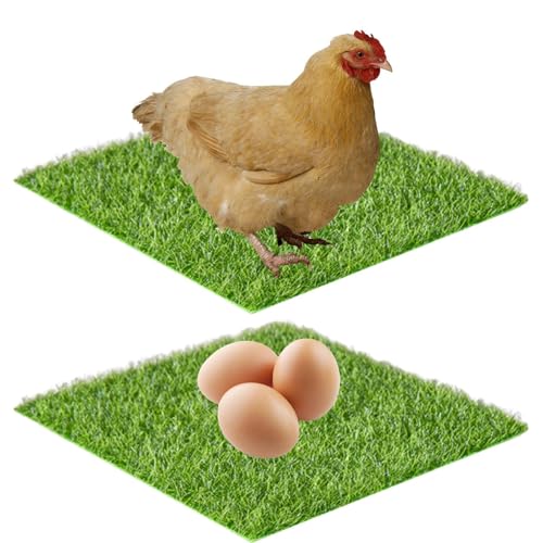 jamgeery Hühner-Nistkasten-Pads, waschbarer Kunstrasenteppich, waschbarer Bodenbelag Kunstrasen für Küken, Roosting, Bauernhof, Rasen, Garten, Hinterhof jamgeery Hühner-Nistkasten-Pads, waschbarer Kunstrasenteppich, waschbarer Bodenbelag Kunstrasen für Küken, Roosting, Bauernhof, Rasen, Garten, Hinterhof von jamgeery