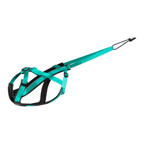 jamgeery Hundegeschirr Zum Ziehen - Reflektierendes Laufgeschirr Für Hunde - Komfortabler Verstellbarer Gurt Für Spazierengehen Sport Training Schlittenziehen Outdoor Aktivitäten jamgeery Hundegeschirr Zum Ziehen - Reflektierendes Laufgeschirr Für Hunde - Komfortabler Verstellbarer Gurt Für Spazierengehen Sport Training Schlittenziehen Outdoor Aktivitäten von jamgeery