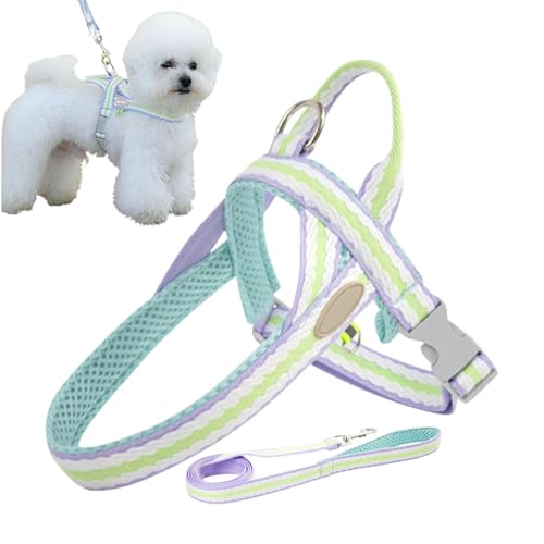 jamgeery Kein Zuggurt für kleine Hunde, Hund Kein Pull -Gurt,Einstellbare atmungsaktive kleine Hundekabelbaums - Bequeme Haustierkragen und Accessoires für Frauen, Männer, Erwachsene jamgeery Kein Zuggurt für kleine Hunde, Hund Kein Pull -Gurt,Einstellbare atmungsaktive kleine Hundekabelbaums - Bequeme Haustierkragen und Accessoires für Frauen, Männer, Erwachsene von jamgeery