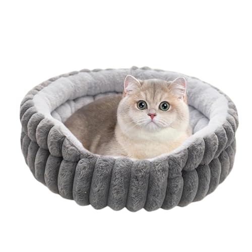 jamgeery Kleines Hundebett, Weiches Katzenbett Mit Runder Form Und Kuschelnest, Kuschelige Wärmende Unterlage Für Kleine Und Mittelgroße Katzen Wohnung Innenbereich Außenbereich jamgeery Kleines Hundebett, Weiches Katzenbett Mit Runder Form Und Kuschelnest, Kuschelige Wärmende Unterlage Für Kleine Und Mittelgroße Katzen Wohnung Innenbereich Außenbereich von jamgeery