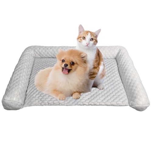 jamgeery Kühlmatte für Hunde, Katzen Kühlende Hundematte Kühldecke Hundebett Sommer Kühlkissen Pet Cooling Mat für Hunde, Katzen, Sommer für Tiere jamgeery Kühlmatte für Hunde, Katzen Kühlende Hundematte Kühldecke Hundebett Sommer Kühlkissen Pet Cooling Mat für Hunde, Katzen, Sommer für Tiere von jamgeery