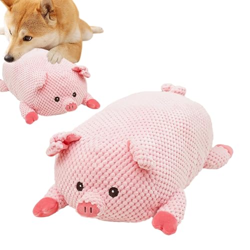 jamgeery Plüsch Hundespielzeug, Quietschende Hundekauspielzeug Interaktives Hundepielzeug Schwein Spielzeug Für Welpen Kleine Mittlere Hunde jamgeery Plüsch Hundespielzeug, Quietschende Hundekauspielzeug Interaktives Hundepielzeug Schwein Spielzeug Für Welpen Kleine Mittlere Hunde von jamgeery