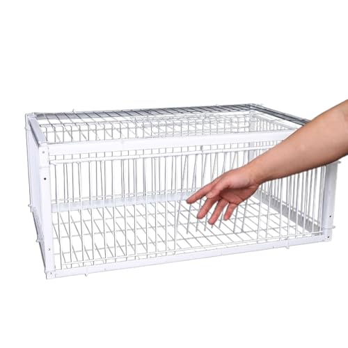 jamgeery Vogelfänger, automatischer Spatzenfänger, ausbruchsicheres Design, Haustierzubehör mit 4 Eingängen, Bauernhof-Geflügel-Management für Papageien, Wellensittiche, Aras, Sittiche von jamgeery