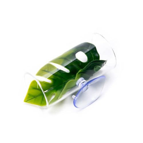 jebyltd Künstliche Farbenfrohe Wasserpflanze Kleine Aquarium Dekore Landschaft Zum Verschönern Von Aquarium Landschaftsgestaltung Aussehen Aquarium Pflanze Acryl Groß jebyltd Künstliche Farbenfrohe Wasserpflanze Kleine Aquarium Dekore Landschaft Zum Verschönern Von Aquarium Landschaftsgestaltung Aussehen Aquarium Pflanze Acryl Groß von jebyltd