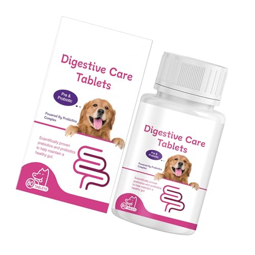 jebyltd Pet Digestive Aid Verdauungsgesundheit Ergänzungsmittel Intestinaler Wartung Für Hund Fördert Ausgewogene Darmpotenz Probiotika von jebyltd
