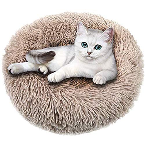 Deluxe-Haustierbett, Plüsch, beruhigendes Hundebett, flauschig, rund, Donut-Kissen für Katzen und kleine, mittelgroße Hunde, waschbar, Kuschelkissen, Beige, 70 x 19 cm, Beige von jehdfbvssjcbcsvfd