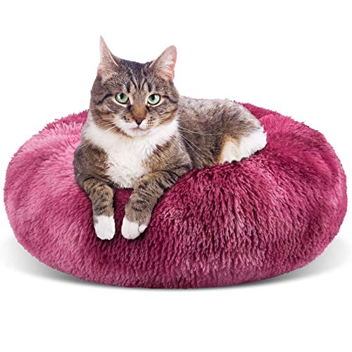 Hundebett für kleine und mittelgroße Hunde, Donut-Kuschelfell, rund, weiches Plüsch, flauschig, für den Innenbereich, beruhigendes Katzenbett, rutschfest, Anti-Angst, für Welpen und Kätzchen von jehdfbvssjcbcsvfd