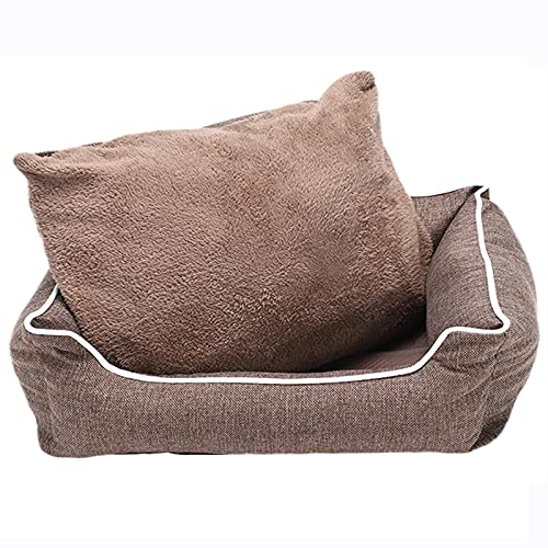 Hundebett mit Kissen, weicher Plüsch, waschbar, gemütlich, Katzenbett, Welpen-Sofa, abnehmbares Kissen, rutschfeste Unterseite, XL, 77 x 61 x 19 cm (XXL 87 x 70 x 20 cm) von jehdfbvssjcbcsvfd