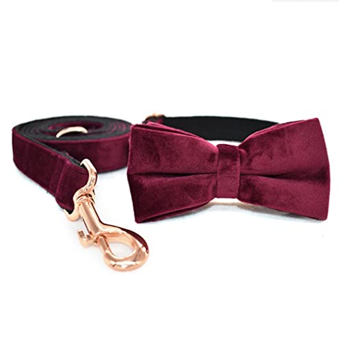 Hundehalsband mit Fliege, Designer-Halsband aus dickem Samt, verstellbar, personalisierbar, Set für kleine, große Hunde, Schnellverschluss (Farbe: A, Größe: M) von jehdfbvssjcbcsvfd