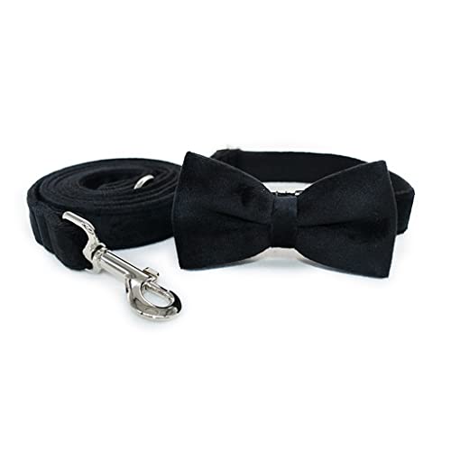 Hundehalsband mit Fliege, Designer-Halsband aus dickem Samt, verstellbar, personalisierbar, Set für kleine, große Hunde, Schnellverschluss (Farbe: B, Größe: M) von jehdfbvssjcbcsvfd