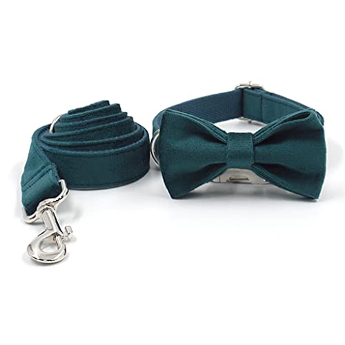 Hundehalsband mit Gravur, personalisierbar, mit Leine für Chihuahua, Jungen, Türkisfarbenes Samt, Hundehalsband und Leine, Set (Farbe: A, Größe: L) von jehdfbvssjcbcsvfd