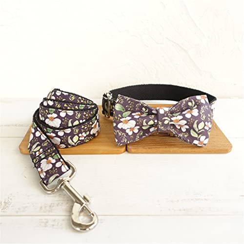 Hundehalsband und Leine, personalisierbar, Türkis, Designer-Halsband mit Schleife, Schnellverschluss, verstellbares Hundehalsband, Wanderleine (Farbe: D, Größe: X-Small) von jehdfbvssjcbcsvfd