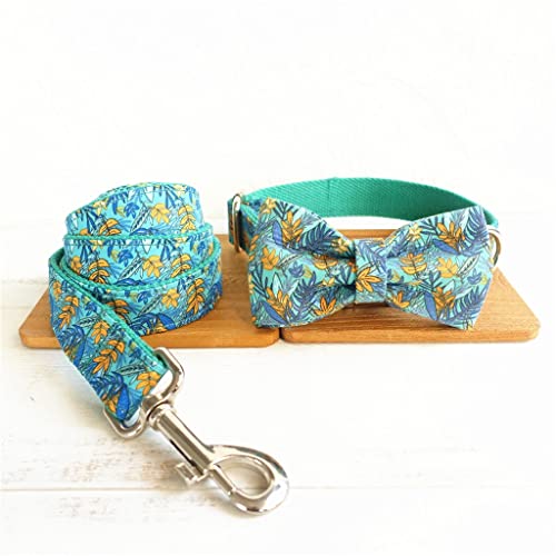 Hundehalsband und Leine, personalisierbar, Türkis, Designer-Haustierhalsband mit Schleife, Schnellverschluss, verstellbares Hundehalsband, Laufleine (Farbe: B, Größe: S) von jehdfbvssjcbcsvfd