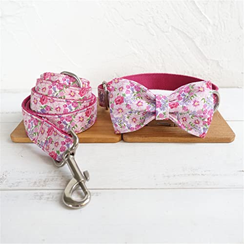 Hundehalsband und Leine, personalisierbar, Türkis, Designer-Haustierhalsband mit Schleife, Schnellverschluss, verstellbares Hundehalsband, Laufleine (Farbe: C, Größe: L) von jehdfbvssjcbcsvfd