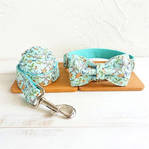 Hundehalsband und Leine, personalisierbar, Türkis, Designer-Haustierhalsband mit Schleife, Schnellverschluss, verstellbares Hundehalsband, Wanderleine (Farbe: A, Größe: M) von jehdfbvssjcbcsvfd