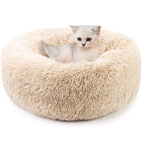 Plüsch-Donut-Haustierbett für kleine Hunde und Katzen, Katzenkissen, Nest, Schlafsack, rund, warm, Kuschelhütte, weiches Bett, Welpen, beruhigend, rutschfest, maschinenwaschbar, Beige Plüsch-Donut-Haustierbett für kleine Hunde und Katzen, Katzenkissen, Nest, Schlafsack, rund, warm, Kuschelhütte, weiches Bett, Welpen, beruhigend, rutschfest, maschinenwaschbar, Beige von jehdfbvssjcbcsvfd