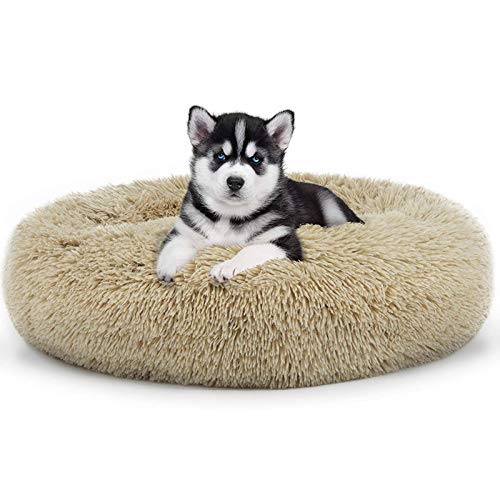 Plüsch-Haustierbett, beruhigend, flauschig, weich, Donut-Kuddelkissen, Bett mit rutschfester Unterseite, waschbar, rundes Schlafsofa für Welpen und Kätzchen, verbesserter Schlaf, Grau, 60 cm, Beige 80 von jehdfbvssjcbcsvfd