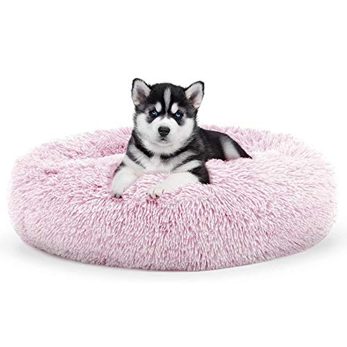 Plüsch-Haustierbett, rund, Donut-Form, beruhigendes Hundebett, flauschiges Kissen, Kuscheltier, Schlafnest für kleine, mittelgroße Katzen, Welpen, rutschfeste Unterseite, Grau, 70 cm (70 cm) von jehdfbvssjcbcsvfd