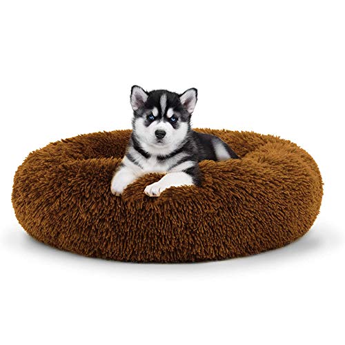 Plüsch-Haustierbett, rund, Donut-Form, beruhigendes Hundebett, flauschiges Kissen, Kuscheltier, Schlafnest für kleine, mittelgroße Katzen, Welpen, rutschfeste Unterseite, Grau, 70 cm (Braun, 80 cm) Plüsch-Haustierbett, rund, Donut-Form, beruhigendes Hundebett, flauschiges Kissen, Kuscheltier, Schlafnest für kleine, mittelgroße Katzen, Welpen, rutschfeste Unterseite, Grau, 70 cm (Braun, 80 cm) von jehdfbvssjcbcsvfd