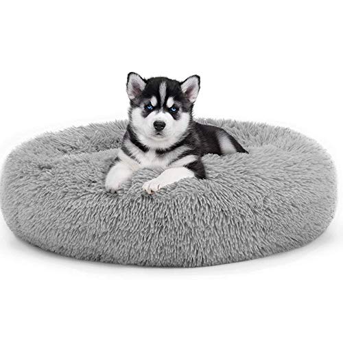Plüsch-Haustierbett, rund, Donut-Form, beruhigendes Hundebett, flauschiges Kissen, Kuscheltier, Schlafnest für kleine, mittelgroße Katzen, Welpen, rutschfeste Unterseite, Grau, 70 cm (Grau, 80 cm) von jehdfbvssjcbcsvfd