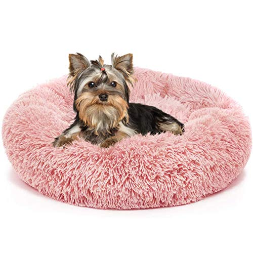 Plüsch-Haustierbett, rund, beruhigendes Bett, Donut-Kuschelbett, waschbar, superweich und flauschig, Welpenmatte für warmen Schlaf, Grau, 60 cm (60 cm) von jehdfbvssjcbcsvfd