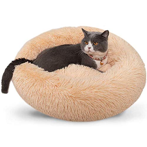 Rundes Plüsch-Katzenbett, beruhigendes Donut-Hundebett, Welpen-Kuschelkissen für große, mittelgroße und kleine Hunde, Beige, 61 cm, Beige von jehdfbvssjcbcsvfd